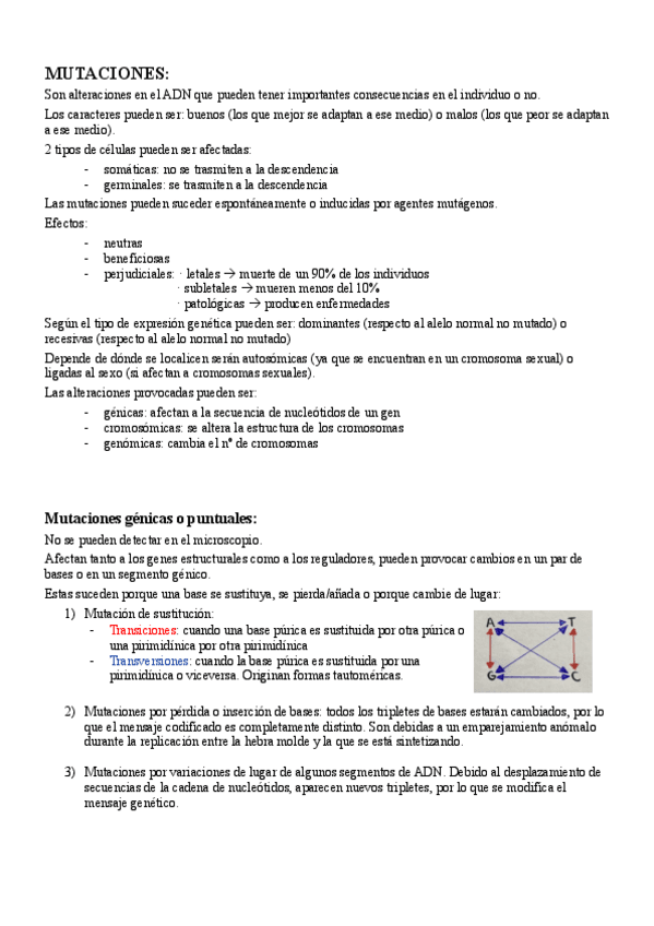 Miniatura del documento apuntes-mutaciones-y-bacterias.pdf