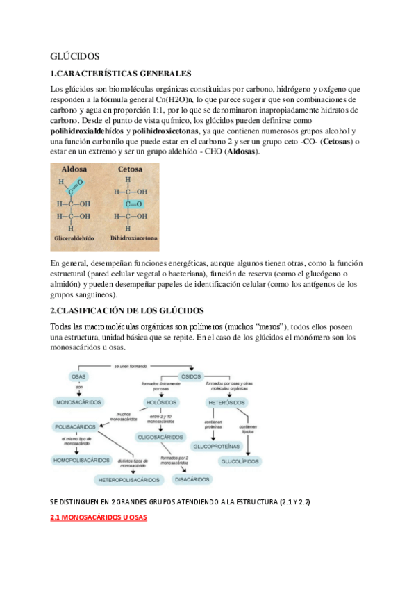 Miniatura del documento GLUCIDOS.pdf