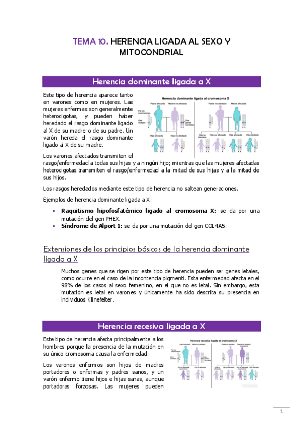 Miniatura del documento TEMA-10-Genetica.pdf