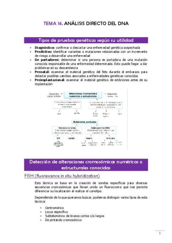 Miniatura del documento TEMA-16-Genetica.pdf