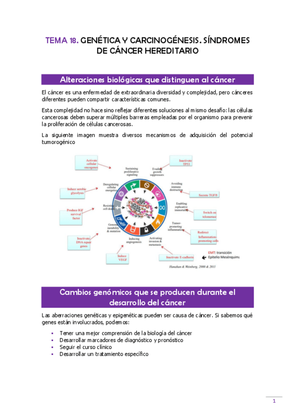 Miniatura del documento TEMA-18-Genetica.pdf