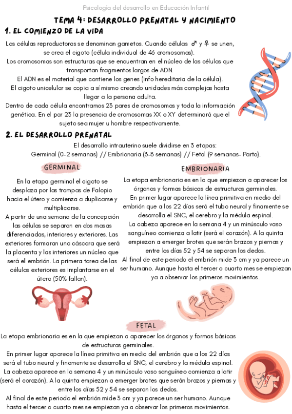 Miniatura del documento T4-PSICO-DESARROLLO.pdf