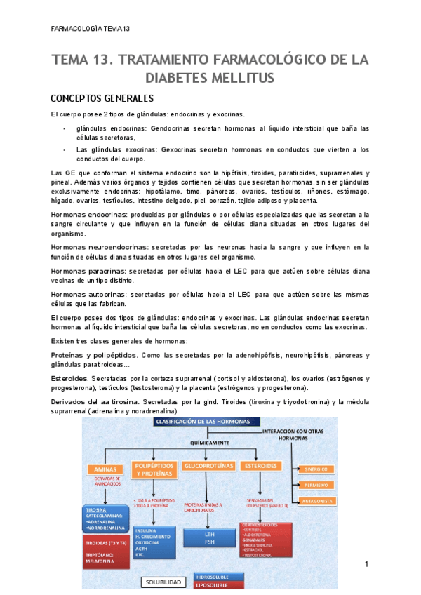 Miniatura del documento TEMA-13.pdf