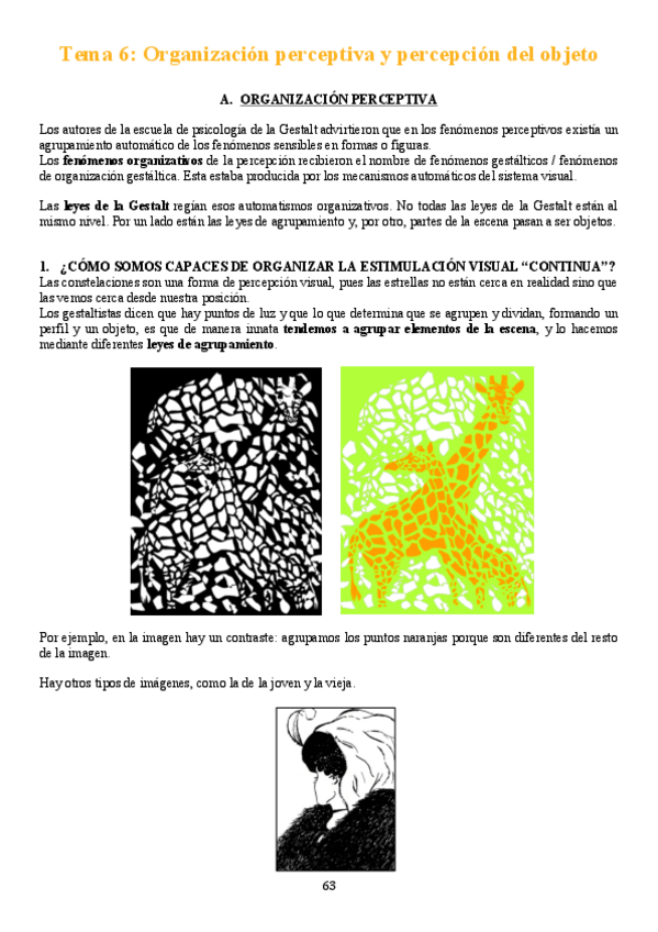 Miniatura del documento TEMA 6.pdf