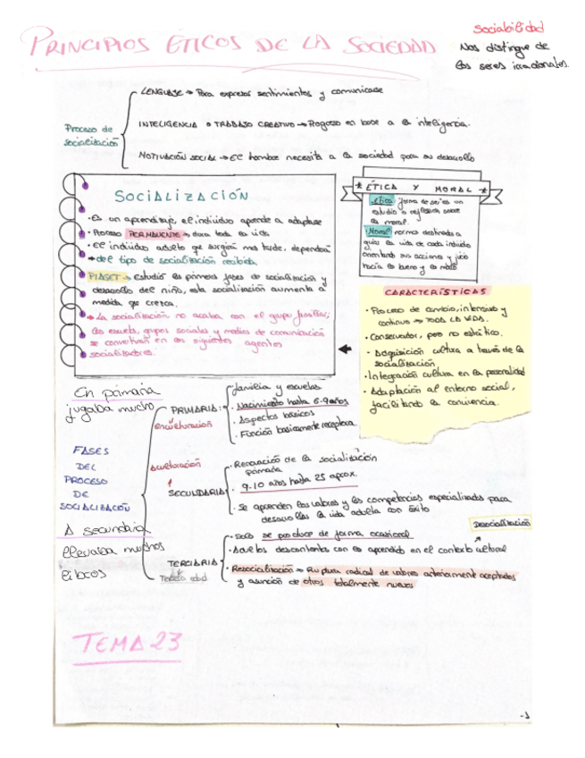 Miniatura del documento Resumenes-a-mano-Tema-30.pdf