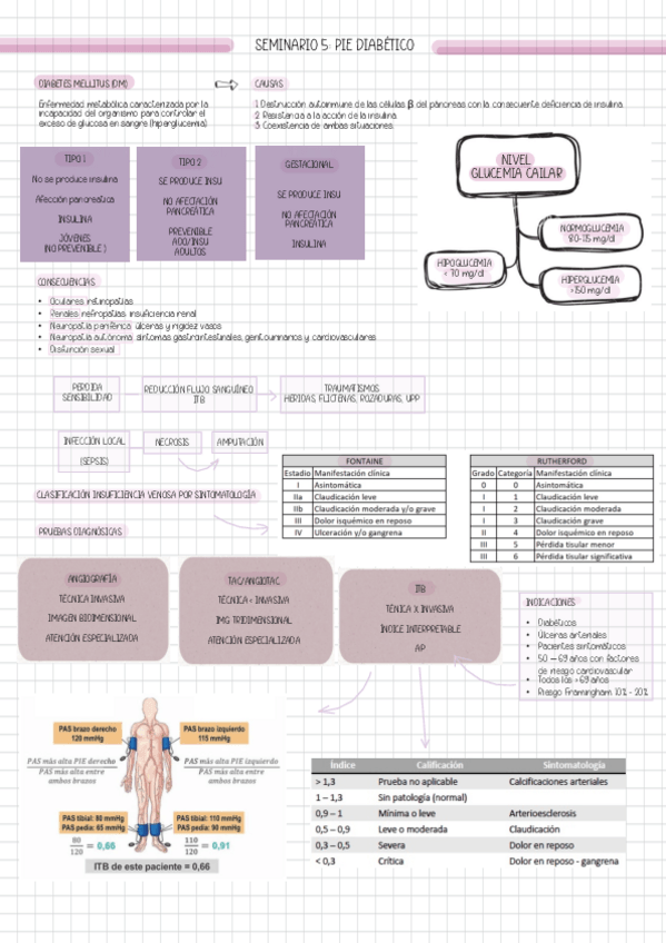 Miniatura del documento SEM-5-PIE-DIABETICO.pdf