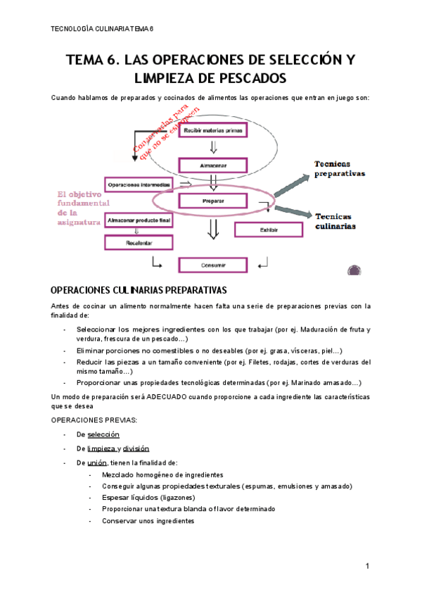 Miniatura del documento TEMA-6.pdf