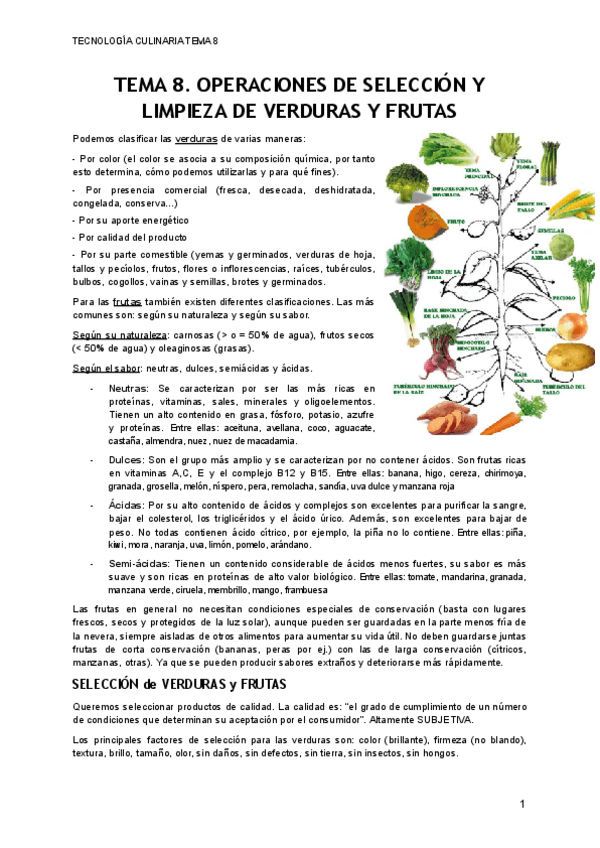 Miniatura del documento TEMA-8.pdf