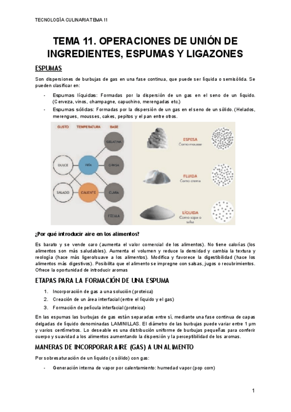 Miniatura del documento TEMA-11.pdf