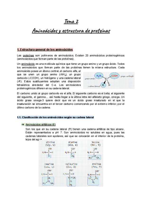 Miniatura del documento Apuntes-Tema-2-Bioq-I-Aminoacidos-y-estructura-de-proteinas.pdf