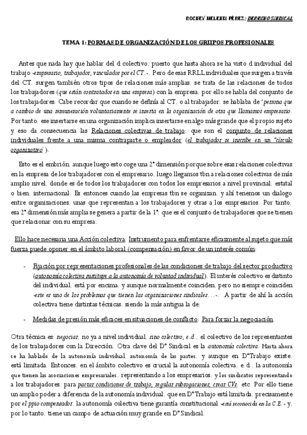 Miniatura del documento Temario-de-Derecho-Sindical-Completo-2024.pdf