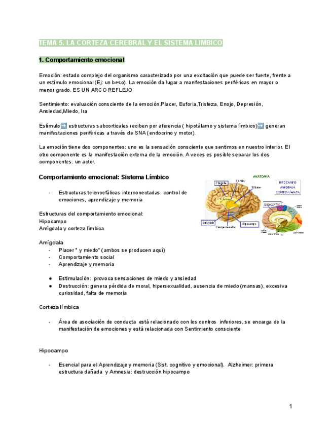 Miniatura del documento Tema-5.pdf
