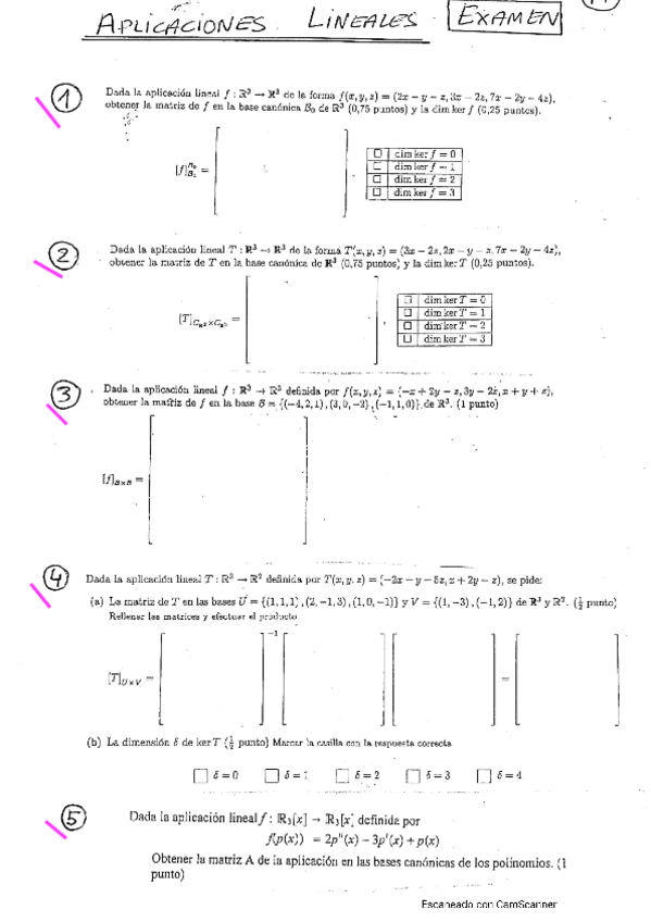 Miniatura del documento APLICACIONES-LINEALES-EXAMEN.pdf