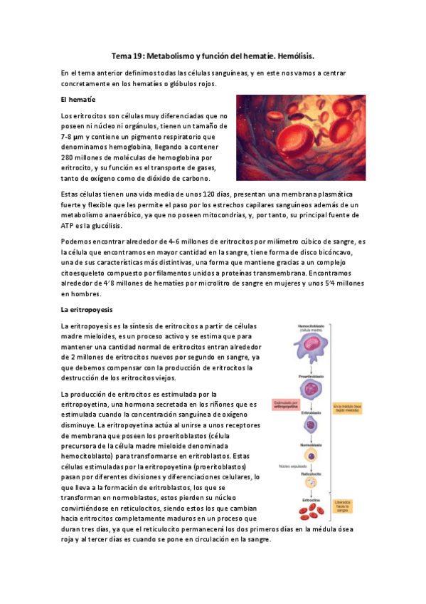 Miniatura del documento Tema-19.pdf