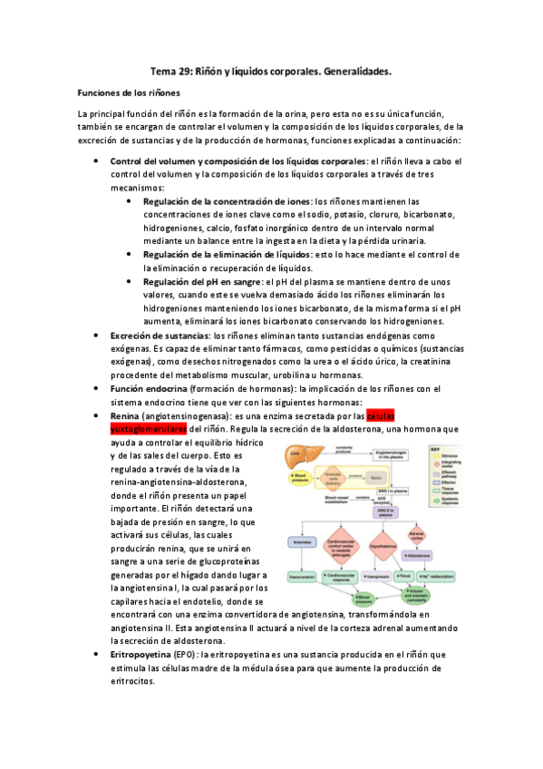 Miniatura del documento Tema-29.pdf