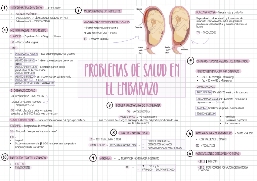 Miniatura del documento ESQ-PROBLEMAS-SALUD-EMB.pdf