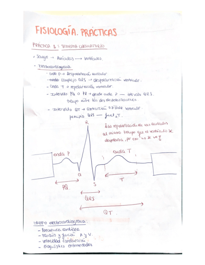 Miniatura del documento resumen-PRACTICAS.pdf
