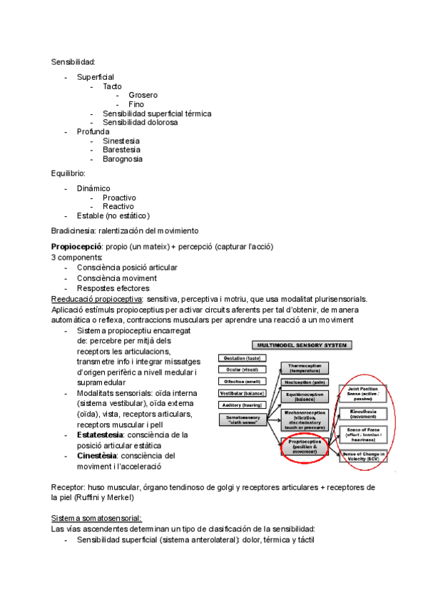 Miniatura del documento apuntes-practica-psicomotricidad.pdf