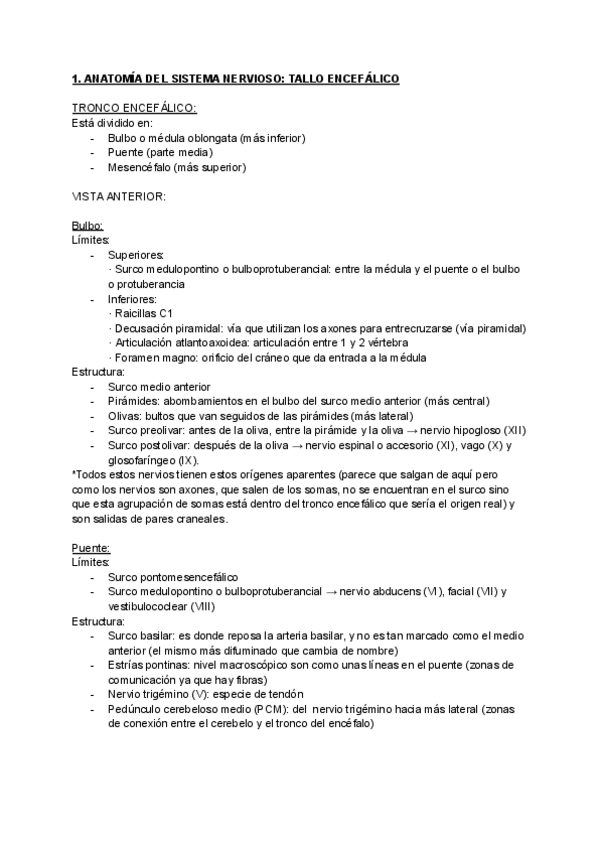 Miniatura del documento apuntes-anato-III.-SN-tallo-diencefalo-cerebelo-y-telencefalo.pdf