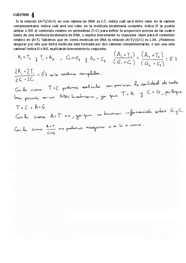 Miniatura del documento Guiones-2024.pdf