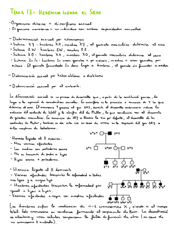 Miniatura del documento T13.-Herencia-Ligada-al-Sexo.pdf