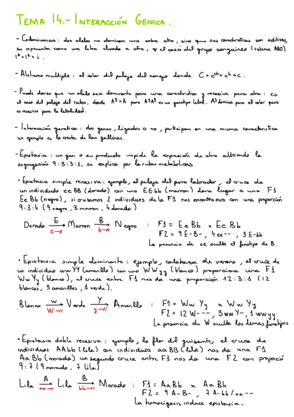 Miniatura del documento T14.-Interaccion-Genica.pdf