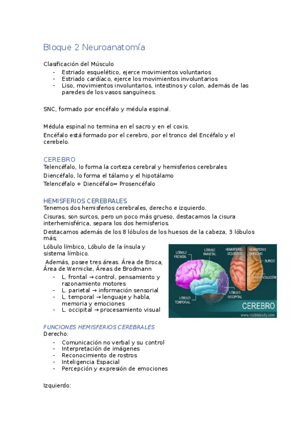 Miniatura del documento Bloque-2-Anatomia-General.docx