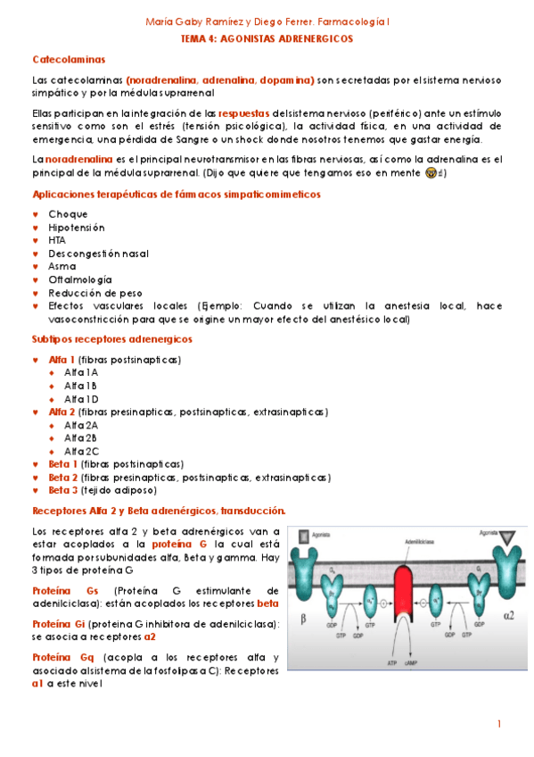 Miniatura del documento agonistas-adrenergicos.pdf