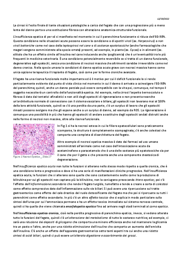 Miniatura del documento 22-Patologia-Generale-12-05.pdf