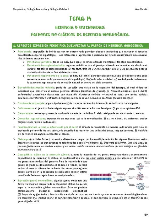 Miniatura del documento Tema-14.pdf