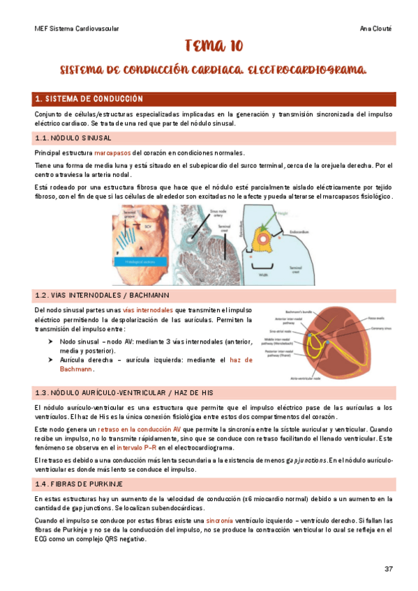 Miniatura del documento Tema-10.pdf