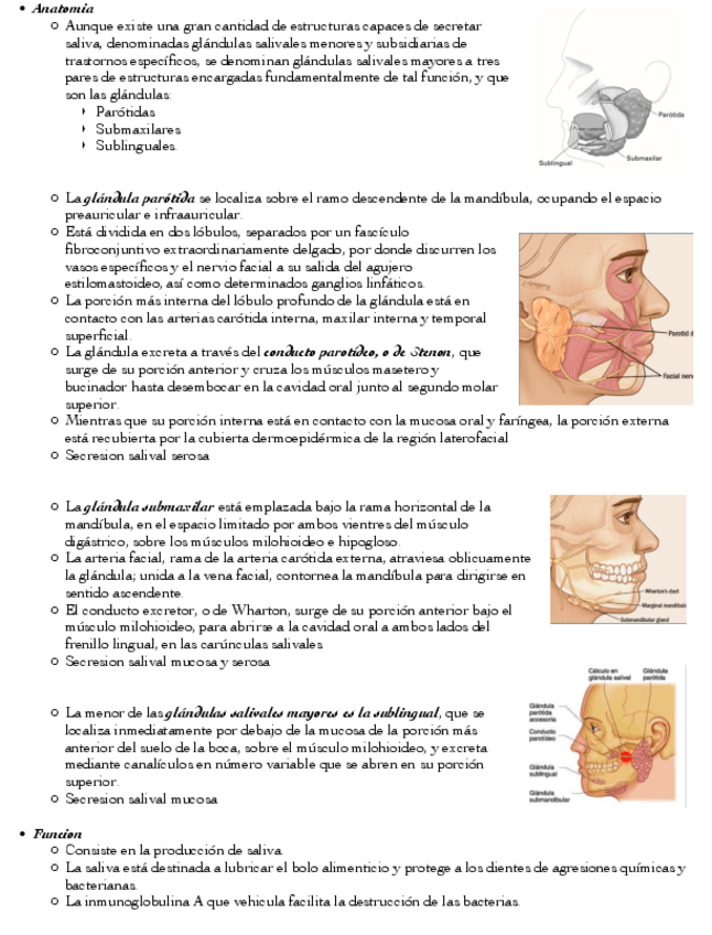 Miniatura del documento Glandulas-salivales.pdf