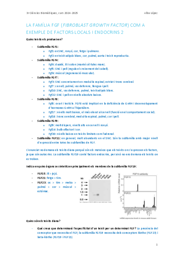 Miniatura del documento Treball de classe: Familia FGF-2.pdf