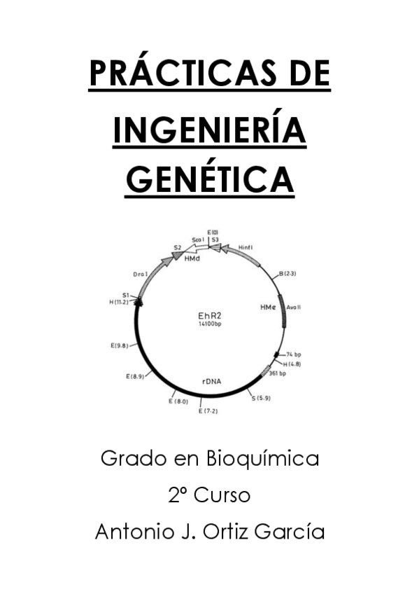 Miniatura del documento PracticasIG.pdf