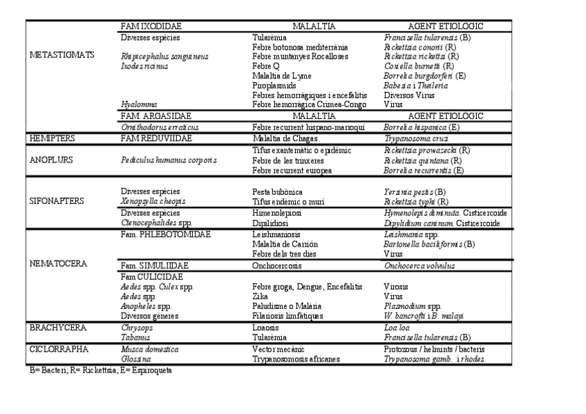 Miniatura del documento TAULA VECTORS EXAMEN FINAL.pdf
