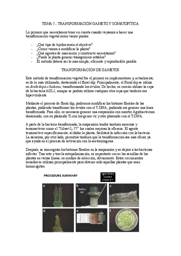 Miniatura del documento Tema-5.-Tranformacion-gameto-y-somatofitica.pdf