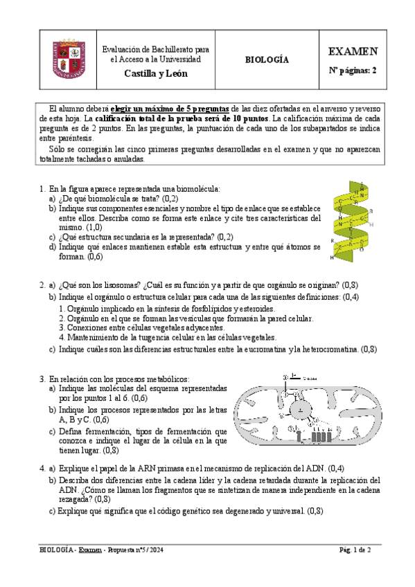 Miniatura del documento EBAU-BIOLOGIA-junio-2024.pdf