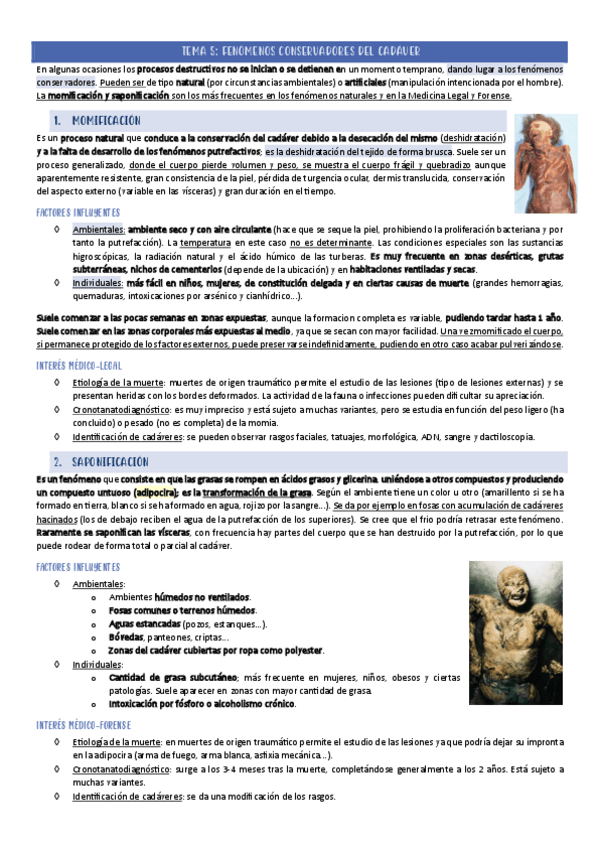 Miniatura del documento TEMA-5.pdf