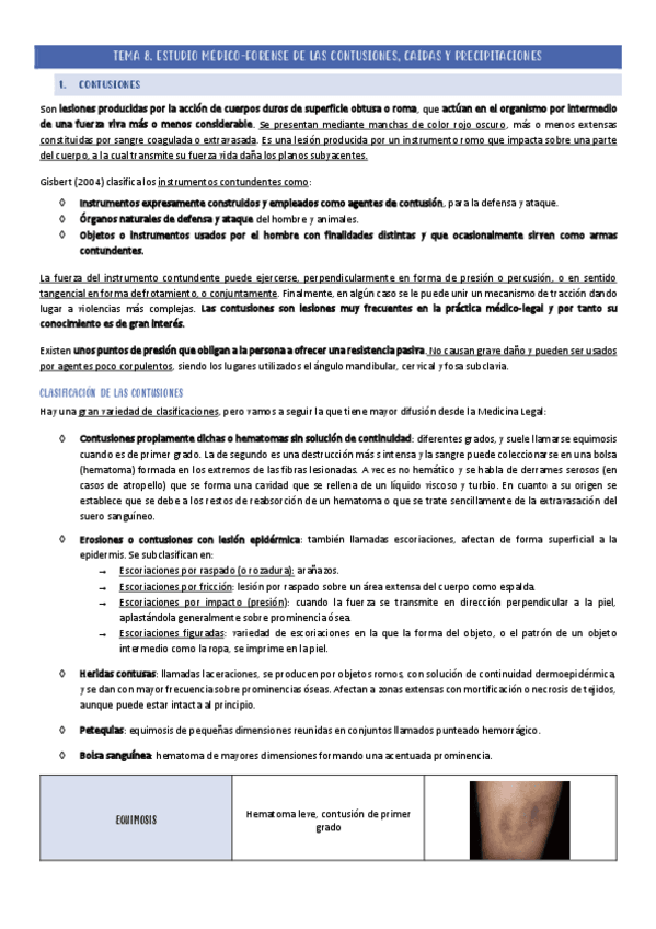 Miniatura del documento TEMA-8.pdf