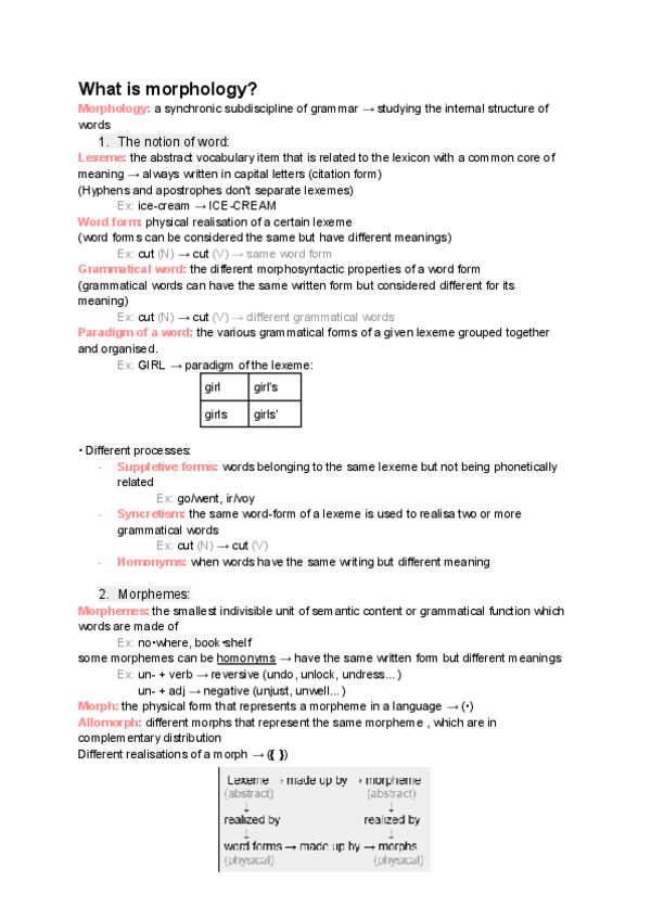 Miniatura del documento Morphology-apuntes.pdf