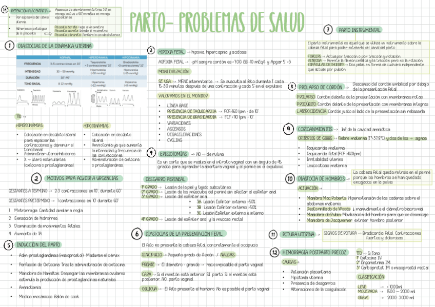 Miniatura del documento ESQ-PROBLEMAS-PARTO.pdf