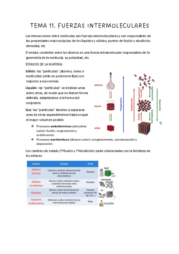 Miniatura del documento TEMA 11,12,13,14.pdf
