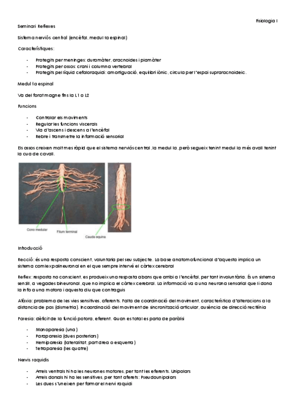 Miniatura del documento Seminari Reflexes.pdf