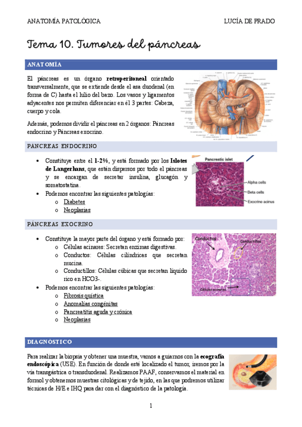 Miniatura del documento TUMORES-PANCREATICOS-2425.pdf
