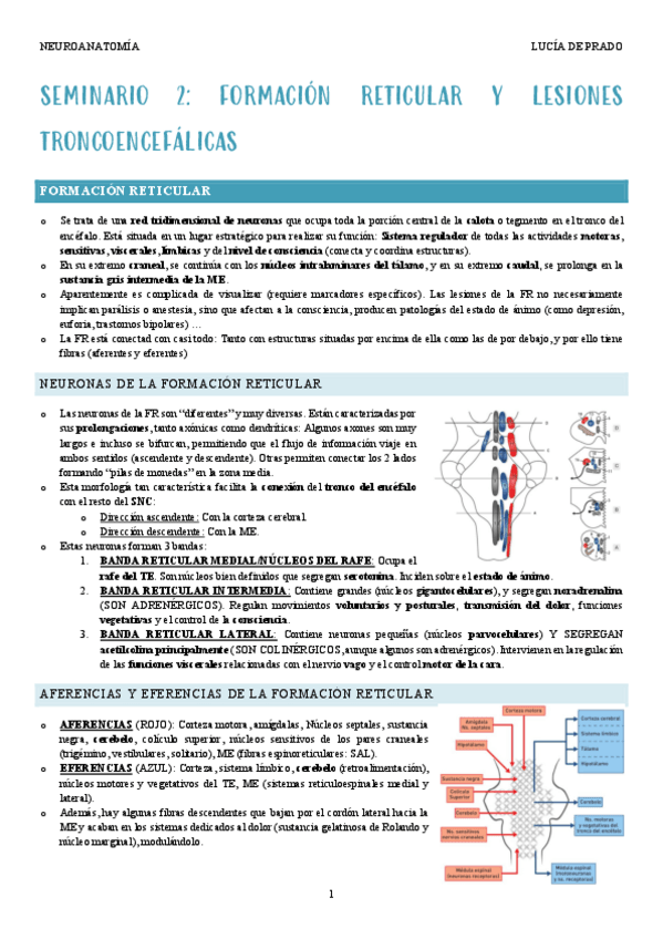 Miniatura del documento Seminario-2-Formacion-reticular.pdf