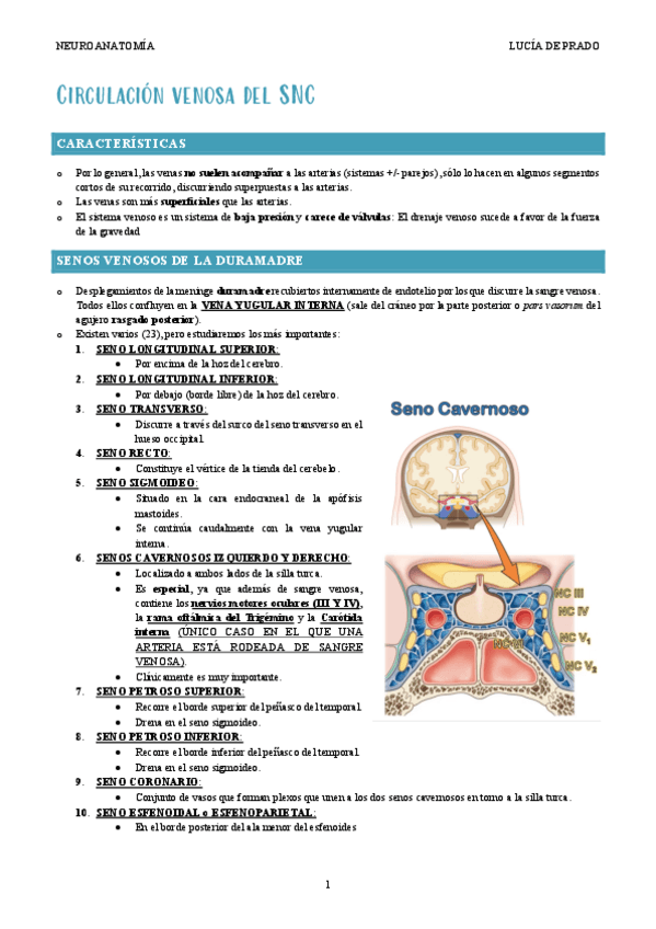 Miniatura del documento SISTEMA-VENOSO-Y-MENINGES.pdf