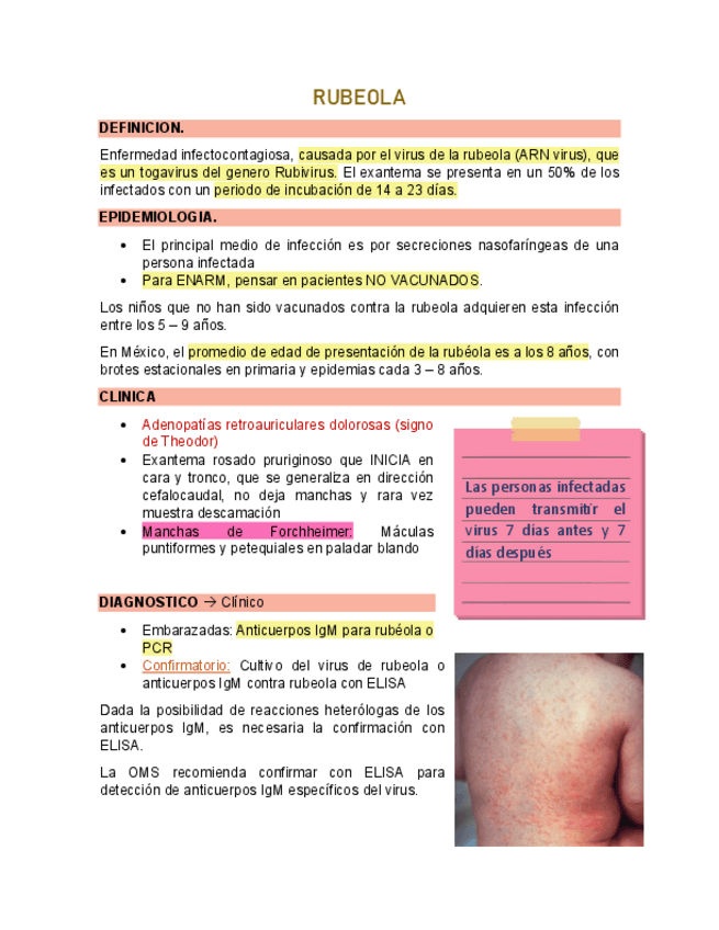 Miniatura del documento Enfermedades-Exantematicas-1-Rubeola-Sarampion-Eritema-infeccioso.pdf