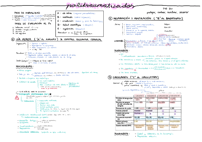 Miniatura del documento Politrauma-T10.pdf