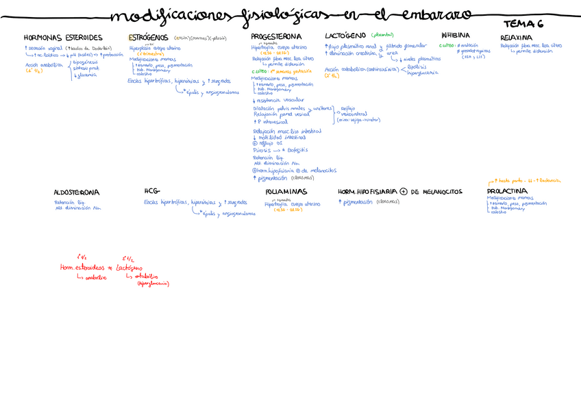 Miniatura del documento Tema-6.pdf