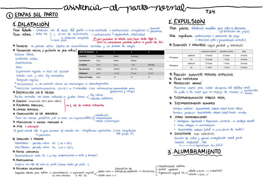Miniatura del documento Tema-14.-pdf.pdf
